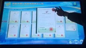 廉江今日爆料最新消息查询,聚焦城市动态与民生焦点 第2张 廉江今日爆料最新消息查询,聚焦城市动态与民生焦点 第2张