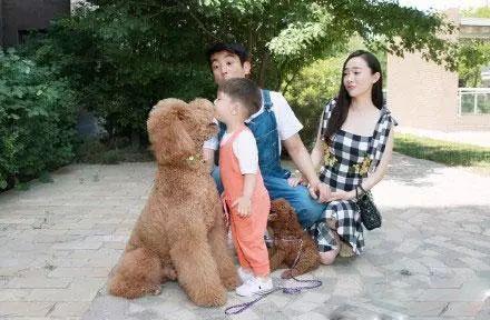 娱乐圈真实爆料霍思燕 第2张 娱乐圈真实爆料霍思燕 第2张